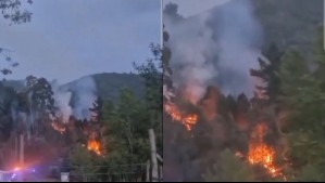 'Se prendió fuego': Rayo impactó sobre un árbol y provocó incendio forestal en Los Ríos