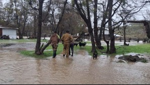 Está llegando un sistema frontal a Chile con vientos de hasta 100 km/h: Pronostican hasta 150 mm de lluvia