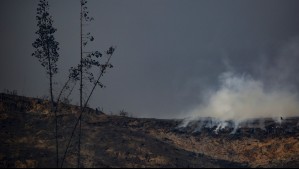 'Alta probabilidad de ignición': Declaran en alerta a la región de Valparaíso por amenaza de incendios forestales