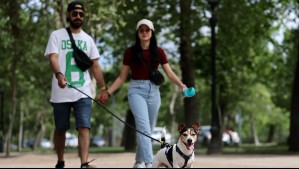 A esta hora será el peak de calor este domingo de elecciones en Santiago: Revisa la evolución de la temperatura