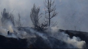 Emiten alerta para la Región Metropolitana por alta probabilidad de incendios forestales: Comunicado oficial