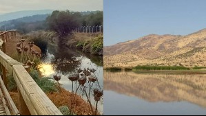 A menos de una hora de Santiago: El paraíso ambiental donde viven 100 especies de aves en casi 7 mil hectáreas