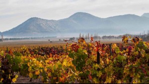 La mejor viña del mundo está en el valle del Maipo: Supera a Argentina y Europa en la lista Forbes 2025