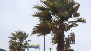 'Esto va a continuar': Alejandro Sepúlveda advierte de vientos que afectarán desde la zona central hacia el sur