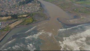 De botadero de basura a 'santuario de la naturaleza': Así es el Humedal Río Maipo que está a 90 minutos de Santiago