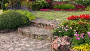 Naturaleza que cura: Conoce los jardines sanadores y sus múltiples beneficios para la salud integral