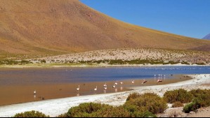 'El norte de Chile no es tan lindo': Viajero muestra las bellezas de Atacama en un recorrido de 5 días