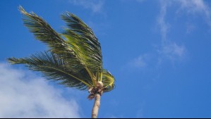 'Tendremos vientos del sur': Instalación de las altas presiones secará el ambiente en estas regiones