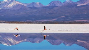 Más allá del desierto: Estos son los cuatro destinos imperdibles de la región de Atacama