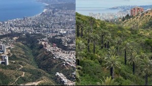 Ecosistema acuático Kan Kan es reconocido como humedal urbano en Viña del Mar: Queda a hora y media de Santiago