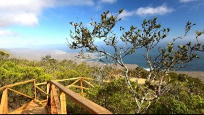 'Oasis verde en medio del desierto': Así puedes llegar a este parque natural saliendo en auto desde Santiago