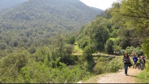 Sendero Cumbre del Parque Nacional La Campana: El 'recorrido exigente y largo' que hacer en la región de Valparaíso