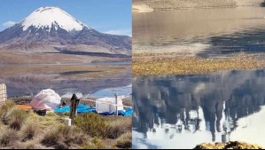 Lago Chungará: Conaf confirma retiro de casi 6 mil litros de aceite y la muerte 15 aves por desastre ecológico