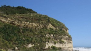 'La naturaleza se la comió': Así luce la impresionante 'Carretera cortada' de la región de la Araucanía