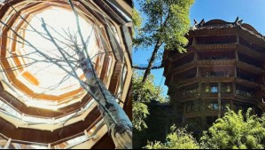 'Es como dormir en una casa del árbol': Reserva Biológica Huilo Huilo es uno de los hoteles más lindos de Chile