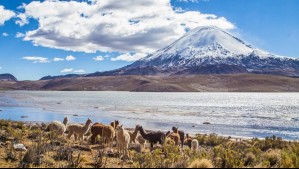 Día Internacional de las Montañas: Estos son los cinco paisajes montañosos que debes visitar en Chile