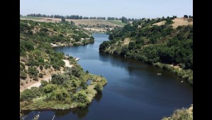 Chile tiene el aviario más grande de Sudamérica: Dedica todo un día a conocer este parque en la región de Valparaíso