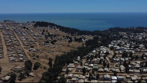 Lugares maravillosos por explorar en San Antonio: Este museo posee el esqueleto completo de una ballena azul