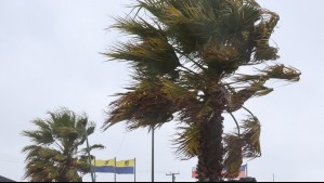 Por altas presiones estas dos regiones registrarán rachas de hasta 80 km/h: Se pronostican durante 24 horas