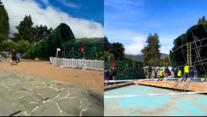 'Marcaron más de 100 km/h': Fuertes vientos derriban el gran árbol navideño de Coyhaique