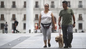 'Este sábado el calor será moderado' en la zona central: Entrará aire frío para ventilar la cuenca de los valles