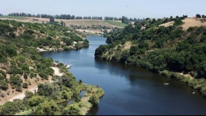 Chile tiene el aviario más grande de Sudamérica: Dedica todo un día a conocer este parque en la región de Valparaíso