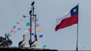 Viento de hasta 60 km/h anuncian para esta localidad de Biobío: Así se viene este martes