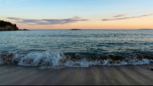 Esta es la probabilidad de que continúen los 'valores congruentes con La Niña': ¿Llegará la neutralidad o El Niño?