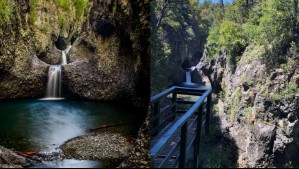 Parque Nacional Radal Siete Tazas inaugura la temporada estival: Todo lo que puedes ver y hacer