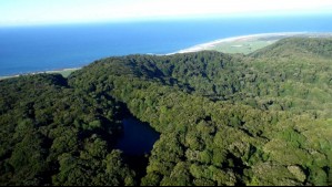Una 'isla remota y misteriosa' en las costas del Biobío: 'El mar se prende fuego y hay bosques de árboles centenarios'