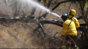 ¿Cómo se propagan los incendios forestales? El '90% que pasan a ser estructurales se debe a las pavesas'