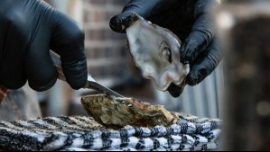 Tongoy: El rincón de Coquimbo donde puedes comer 'ostiones vivos' por mil pesos