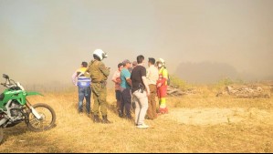 'Siguen las condiciones adversas en las regiones de Biobío y Ñuble': Alerta por incendios forestales en estos sectores