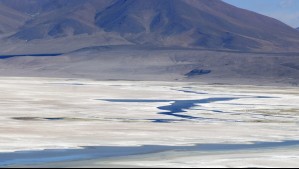 Hallan 'botellas y residuos de vehículos chocados': Protegen ecosistema de flamencos en el Salar del Huasco