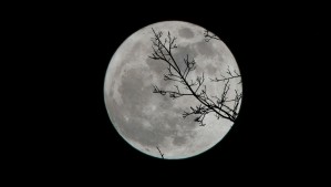La Luna del Lobo llega en enero: Este es el día y hora en la que podrá verse la primera luna llena de 2026