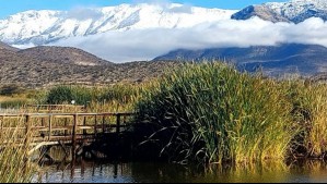 'Este es uno de los paseos más lindos que pueden hacer cerca de Santiago': Aves, cordillera y pícnic