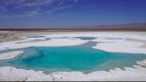 Descubre las Lagunas Escondidas de Baltinache: El oasis de saladas aguas turquesas cerca de San Pedro de Atacama