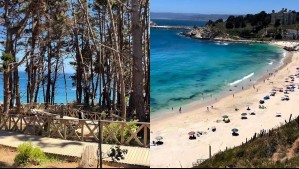 'Una de las playas más hermosas cerca de Santiago': Tiene bosques de pinos y aguas turquesas aptas para bañarse