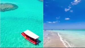 Conoce el Caribe brasilero: Esta es la paradisíaca playa de aguas turquesas que 'tiene toda la alegría de Brasil'
