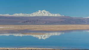 'El mar muerto de Chile': Todo esto podrás encontrar en tu visita al Salar de Atacama