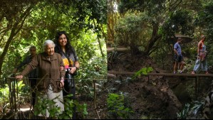 'Regala la naturaleza': Esto vale una gifcard para uno de los parques naturales más lindos de Chile