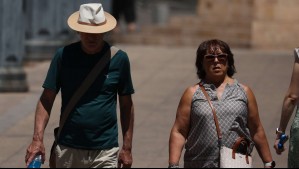 Ola de calor abarcará una zona muy amplia la próxima semana: 'Está muy parejo desde Coquimbo hasta La Araucanía'