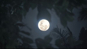 ¿Cuándo habrá luna llena en 2026? El satélite llegará a su plenilunio 13 veces este año
