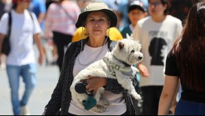Hasta 35°C: Altas temperaturas azotarán a Biobío hasta el viernes en todos estos sectores