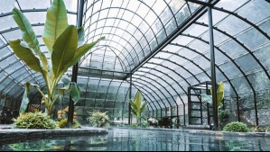 Parque Termal Botánico: Este paraíso tiene 10 piscinas termales y un jardín con más de mil plantas