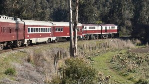 Tren de Año Nuevo: Descubre todo lo que incluye esta experiencia sobre rieles que parte desde Santiago