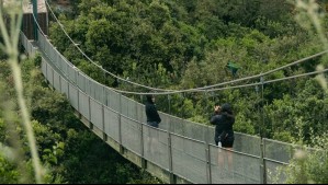 Viajero recomienda tres paseos imperdibles cerca de Santiago: Combinan naturaleza, aventura y fauna silvestre