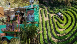 Disfruta del Día de Reyes en este herbario de Santiago: La entrada es gratuita estos días