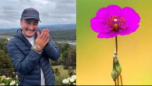 Fotógrafo chileno celebra publicación de su foto de una pata de guanaco en National Geographic: 'Es un gran honor'