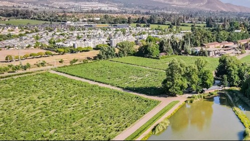 El 'precioso oasis natural escondido' en Santiago: Este jardín tiene senderos, vida silvestre y zonas para relajarse